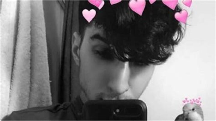 All You Need To Know About YouTube Star Fe4Rless ·