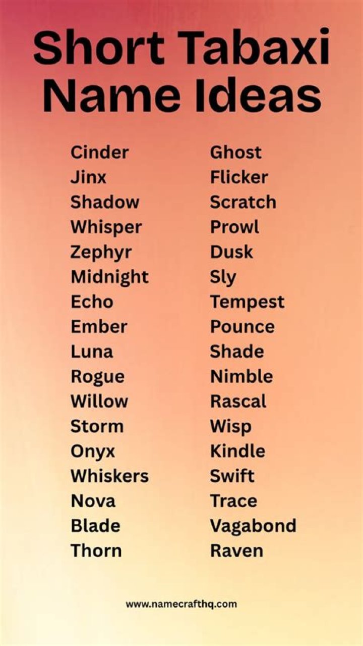 Discovering Unique Tabaxi Names In DND
