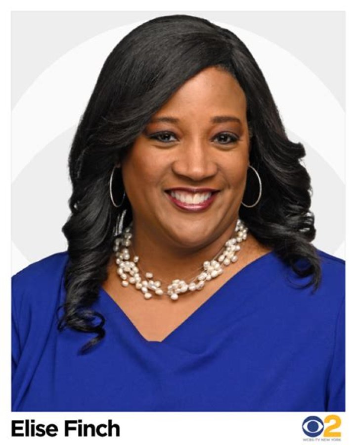 Meteorologist, Elise Finch Health And Illness