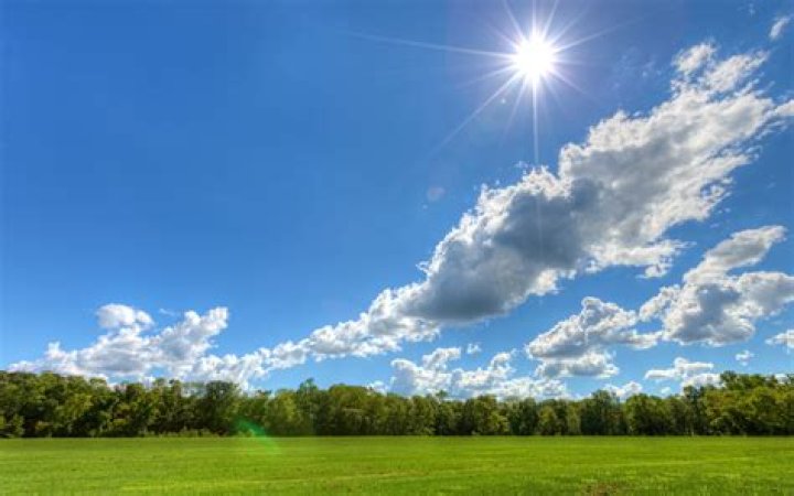 Sunny