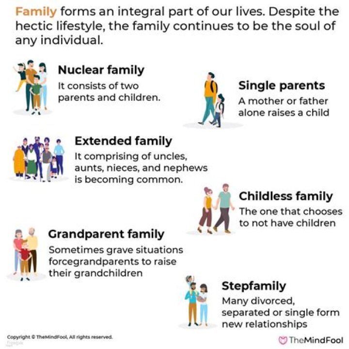 Uncover Their Interests, Dynamics, And Family Life
