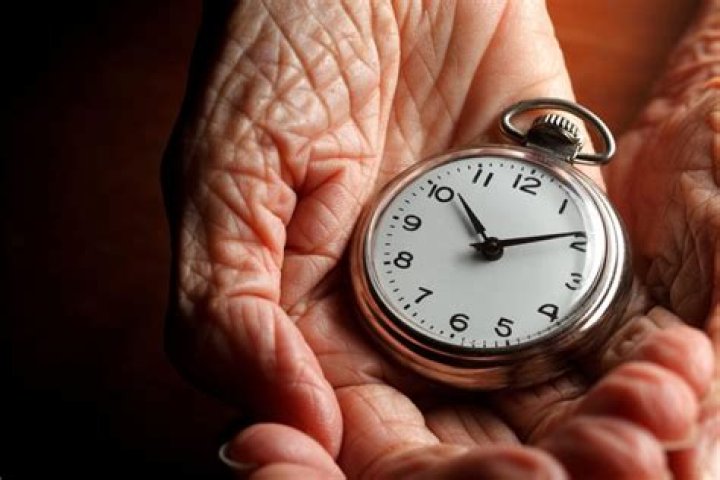 Unlocking The Secrets Of Aging: Discoveries From Lori Goldstein
